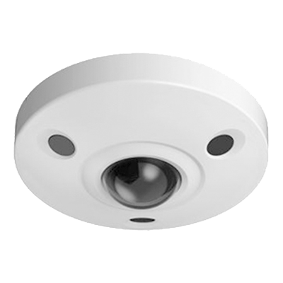 fish-eye-camera